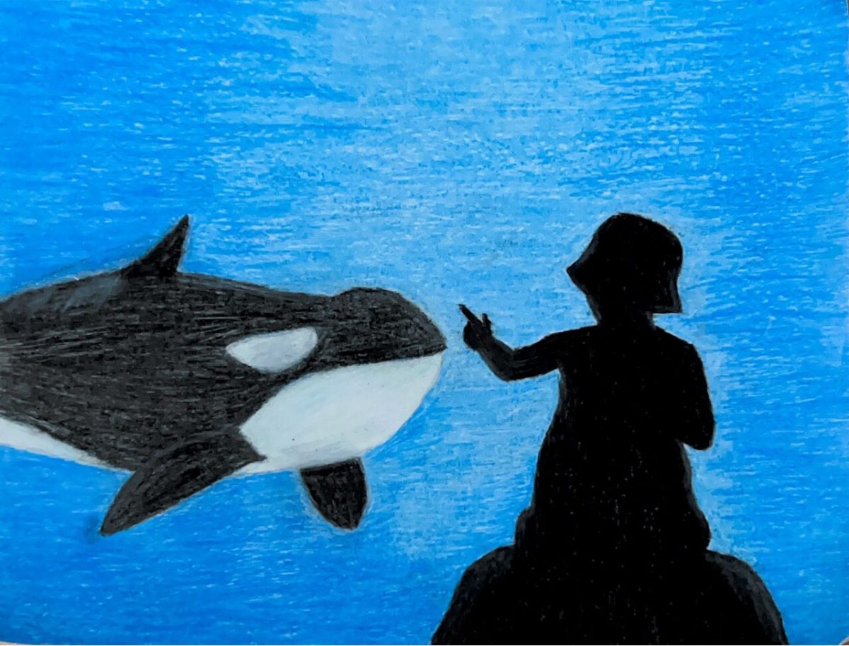 A child on their parent's shoulders, points at an orca in its tank. Art by senior Ana Quesada