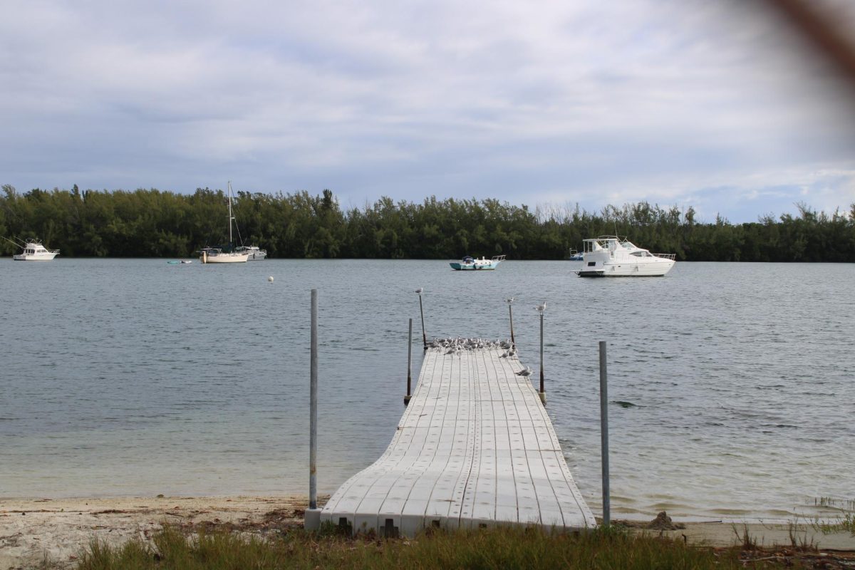 Due to MAST's unique location, the bay has become a key part of its swimming classes. 