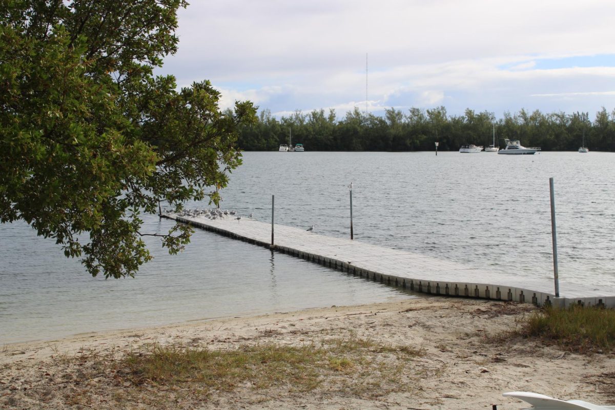 MAST's Biscayne Bay, where freshmen complete their triathlon.