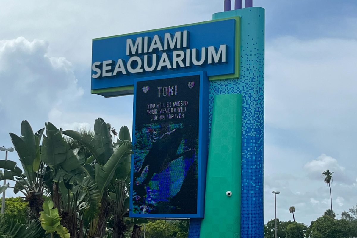 The+Miami+Seaquarium%2C+days+after+the+death+of+the+orca+Lolita.+The+death+of+the+whale+has+amplified+calls+for+the+closure+of+the+aquarium.+Beacon+Archive.