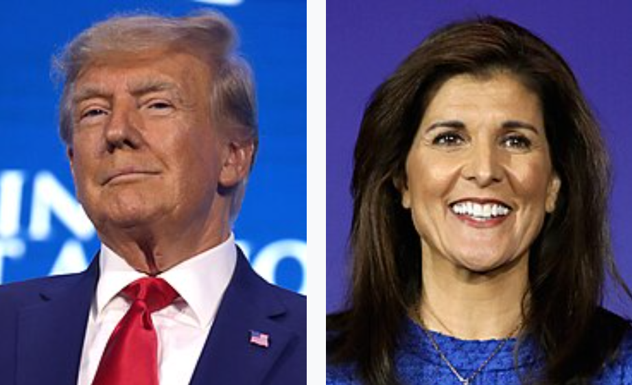 Donald Trump and Nikki Haley are the two remaining major candidates in the 2024 Republican primary process.