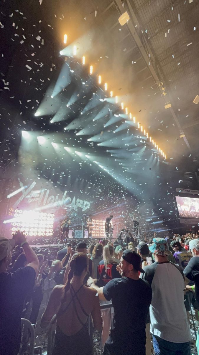 Crowd of One vs. Crowd of Thousands: Are Live Concerts Worth the Price?